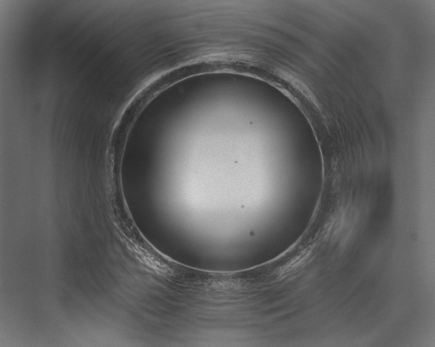 X0000076391021200610061145