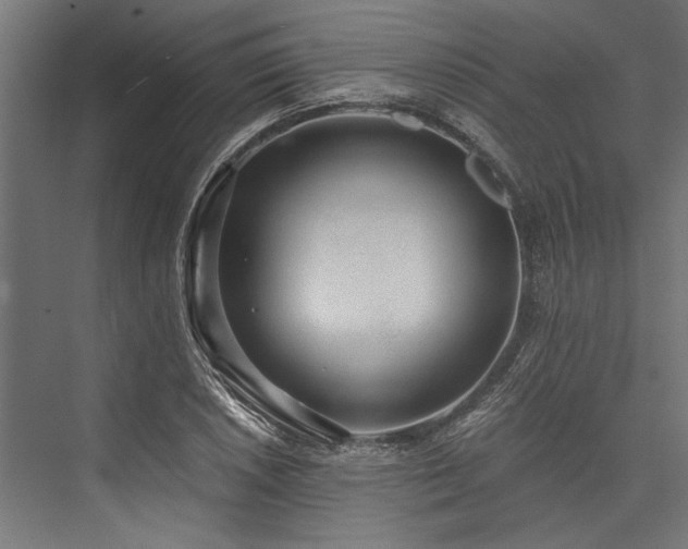X0000076391026200610061145