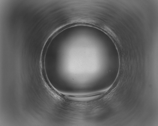 X0000076391028200610061145
