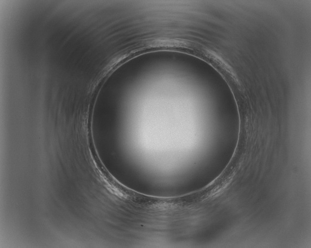 X0000076391033200610061145