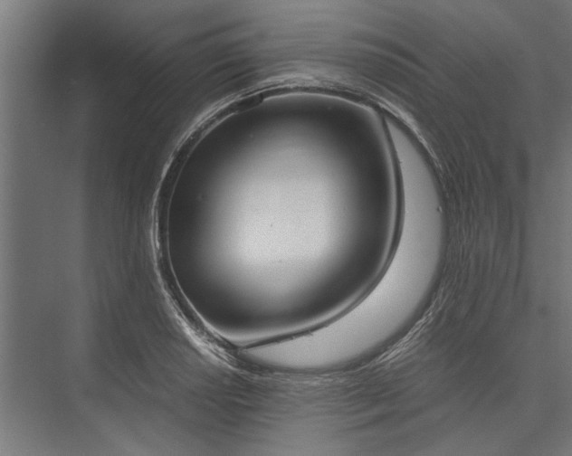 X0000076391034200610061145