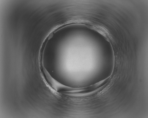 X0000076391046200610061145