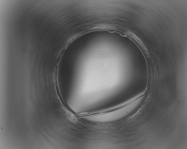 X0000076391049200610061145
