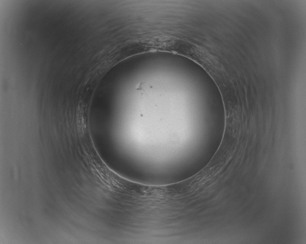 X0000076391058200610061145