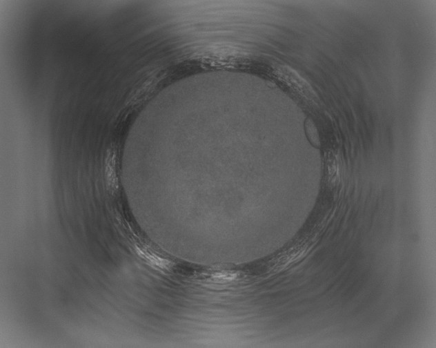 X0000076391060200610061145