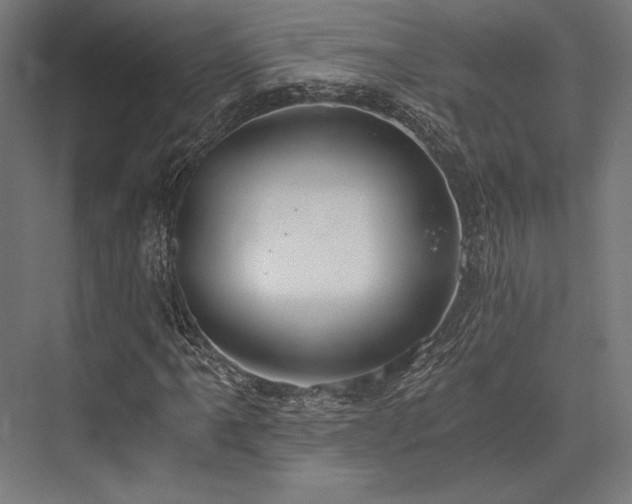 X0000076391061200610061145
