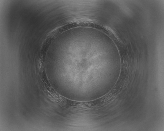 X0000076391063200610061145