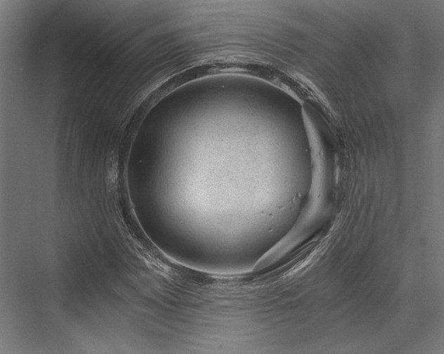 X0000076391065200610061145