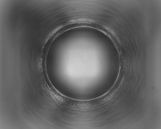 X0000076391066200610061145
