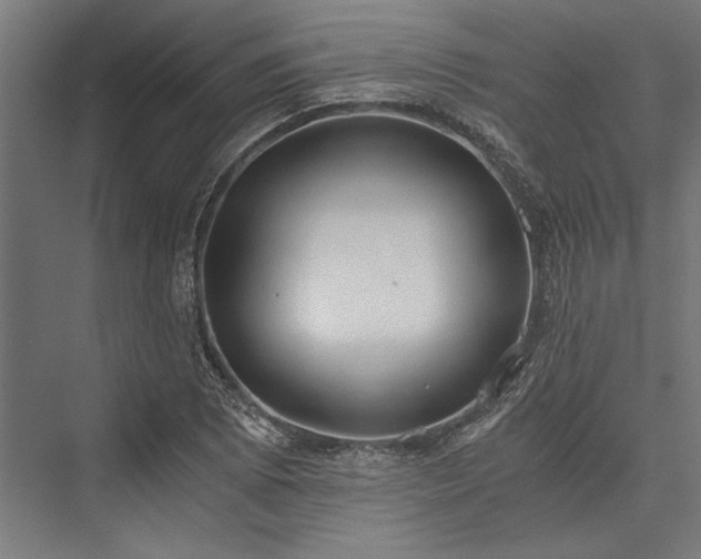 X0000076391073200610061144