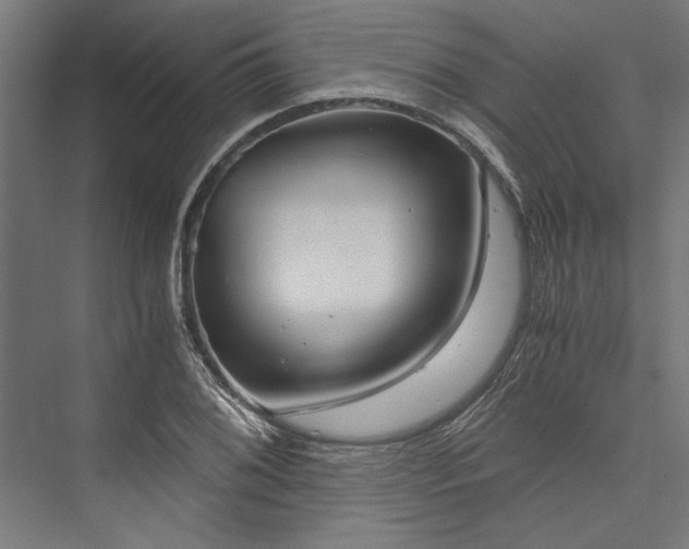 X0000076391076200610061144