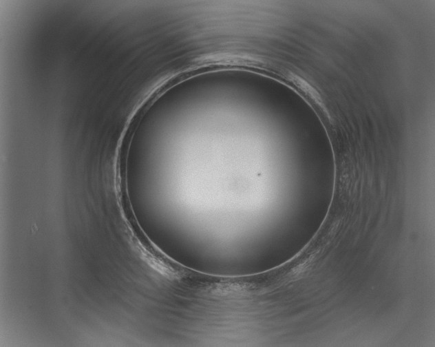 X0000076391082200610061144