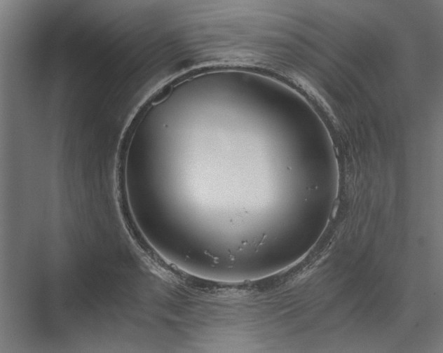 X0000076391085200610061144