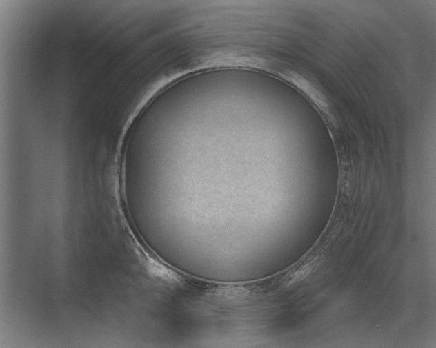 X0000076391094200610061144