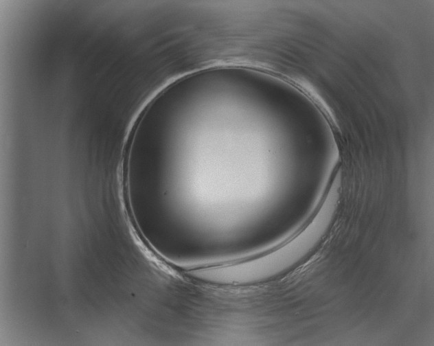 X0000076391100200610061144