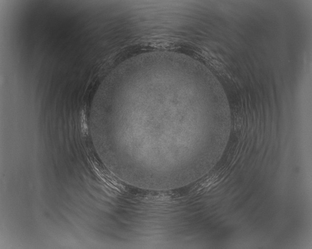 X0000076391106200610061143