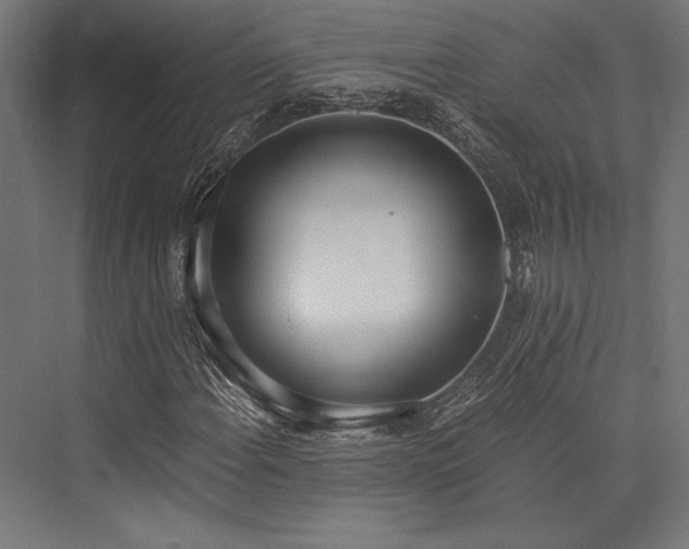 X0000076391108200610061143