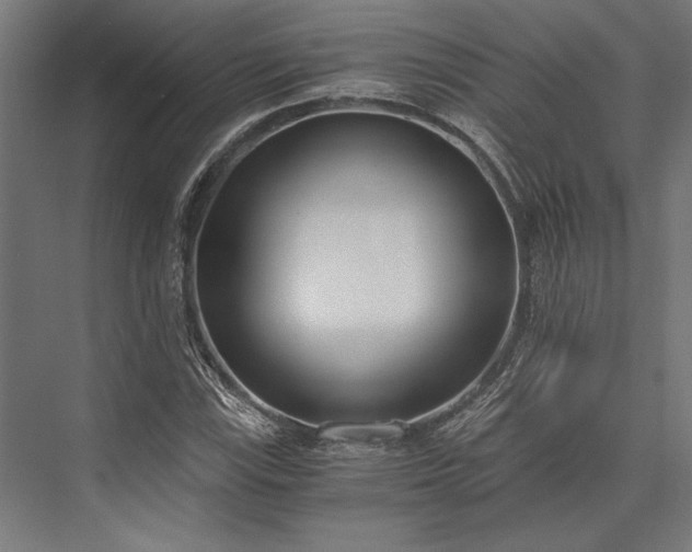 X0000076391115200610061143