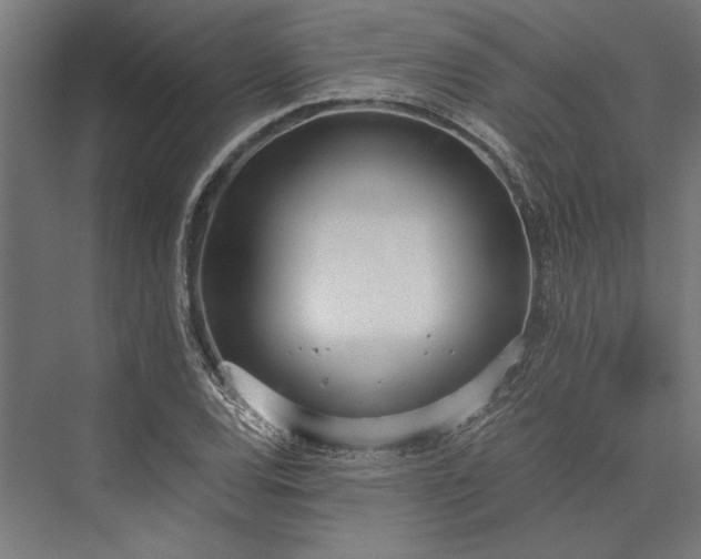 X0000076391120200610061143