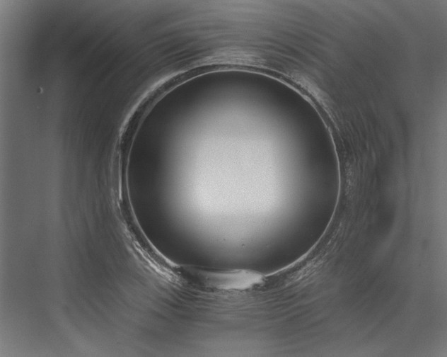 X0000076391123200610061143