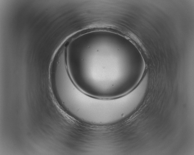 X0000076391124200610061143