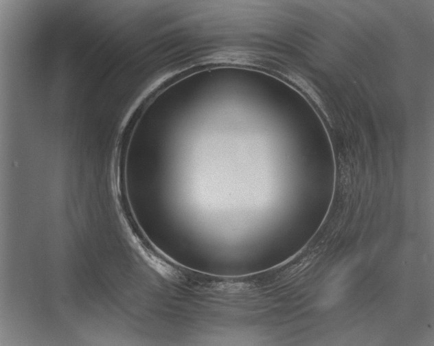 X0000076391131200610061144