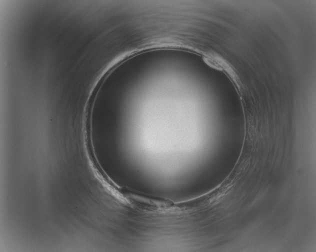 X0000076391142200610061144