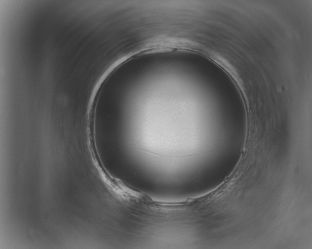 X0000076391152200610061144