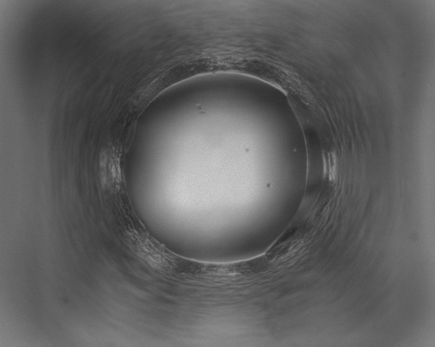 X0000076391155200610061143