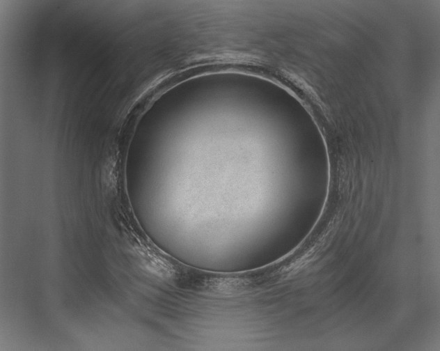 X0000076391163200610061143