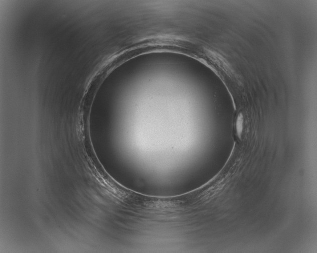 X0000076391164200610061143
