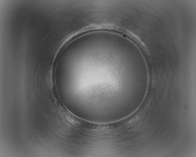 X0000076391174200610061143
