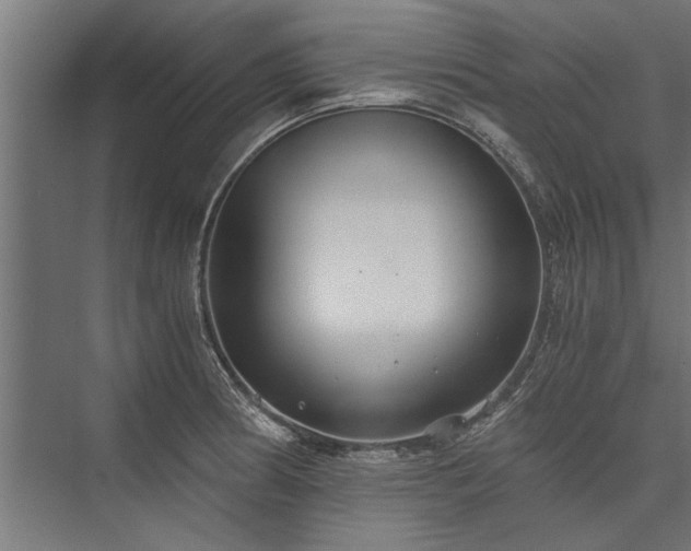 X0000076391186200610061142