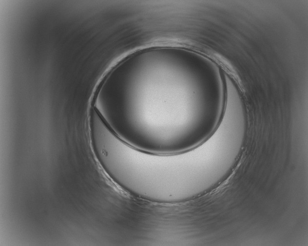 X0000076391192200610061142