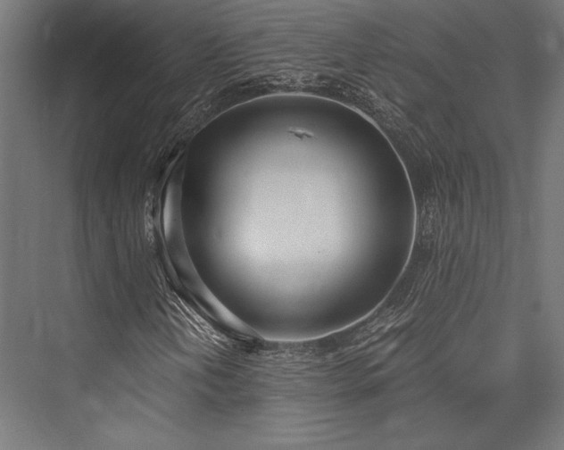 X0000076391202200610061141