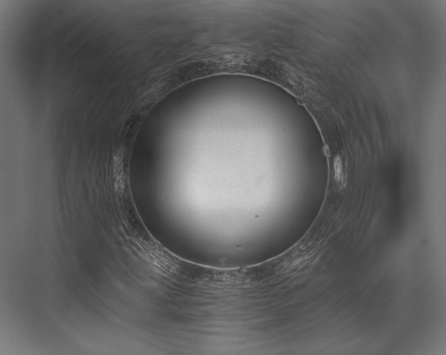 X0000076391203200610061141