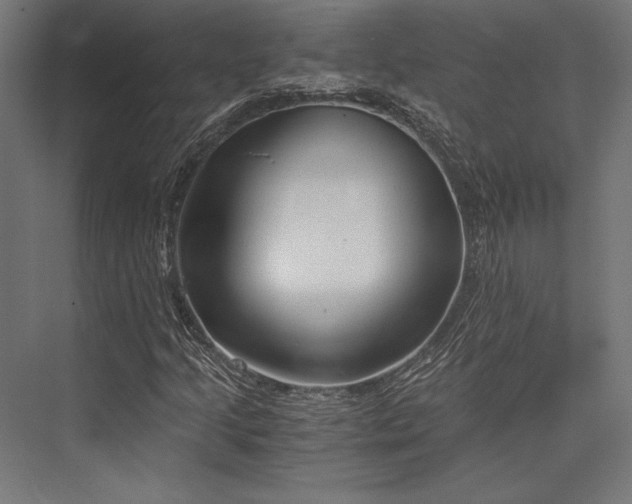 X0000076391205200610061141