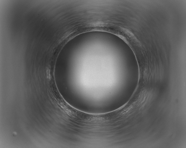 X0000076391209200610061142
