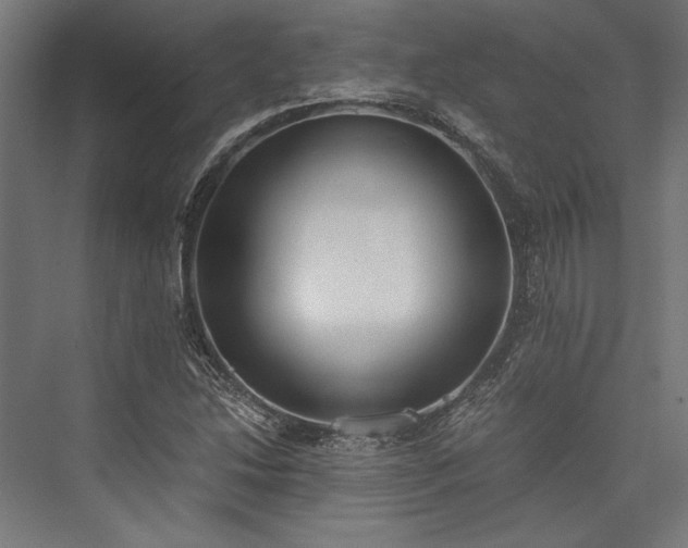 X0000076391214200610061142