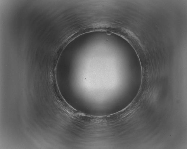 X0000076391217200610061142