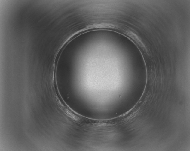 X0000076391228200610061142