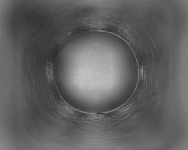 X0000076391251200610061141