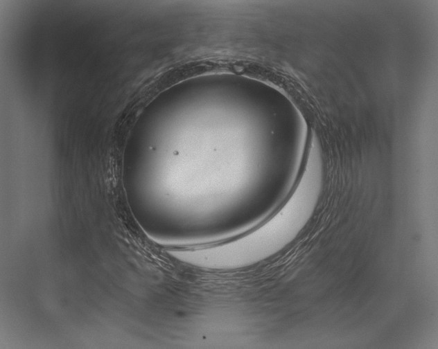 X0000076391253200610061141