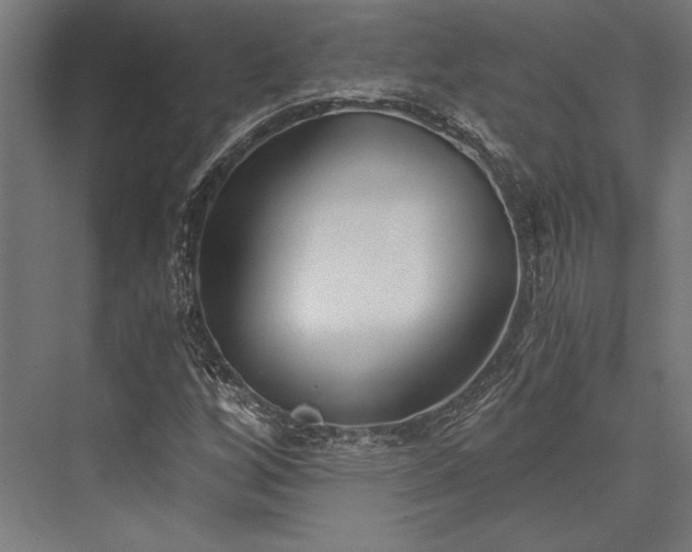 X0000076391256200610061141