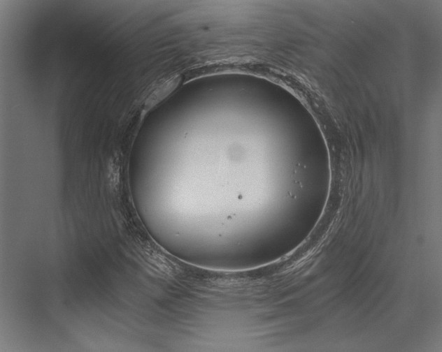 X0000076391257200610061141