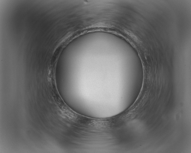 X0000076391258200610061141