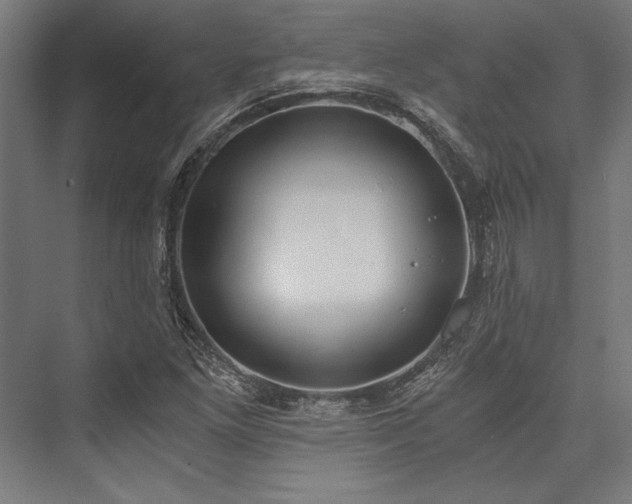 X0000076391261200610061141