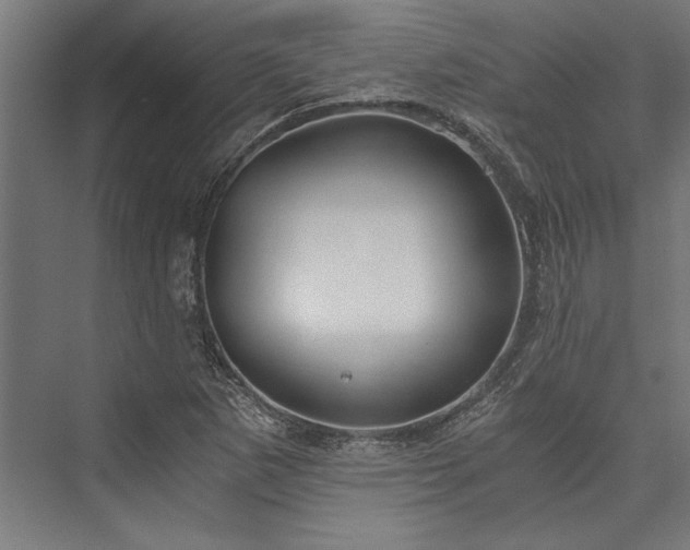 X0000076391265200610061141