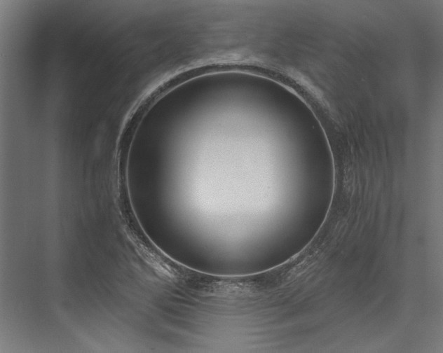 X0000076391270200610061141