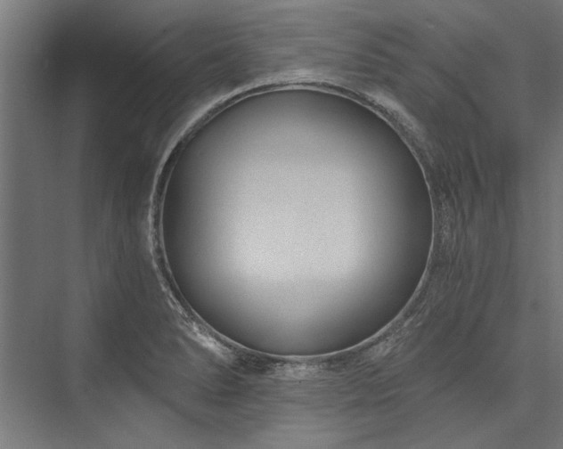 X0000076391278200610061141
